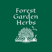 Forest Garden Herbs