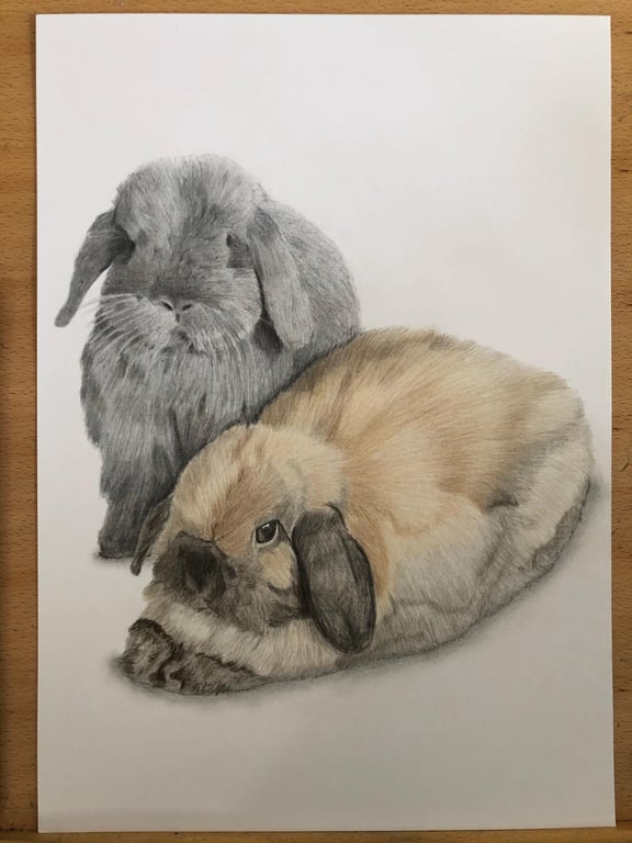 A3 Custom pet portrait for two pets made with coloured pencil