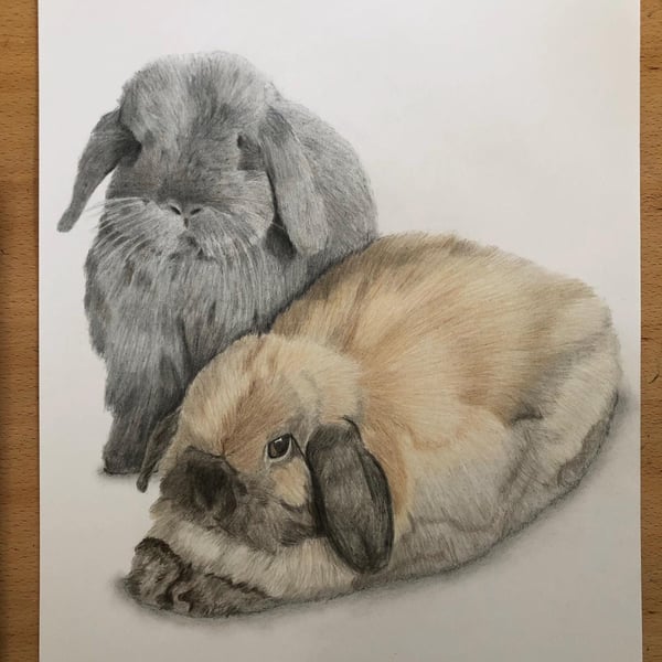 A3 Custom pet portrait for two pets made with coloured pencil