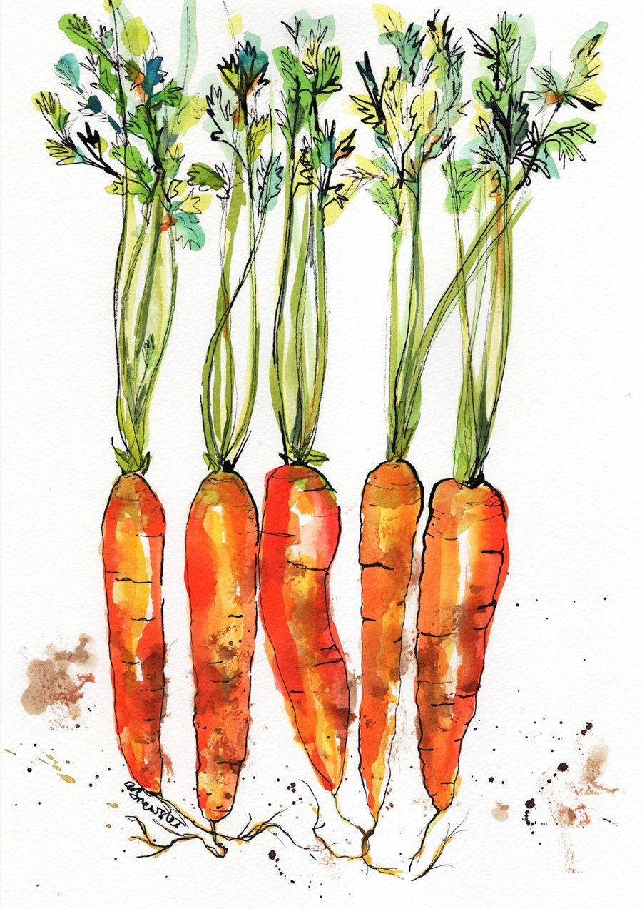 Carrots print
