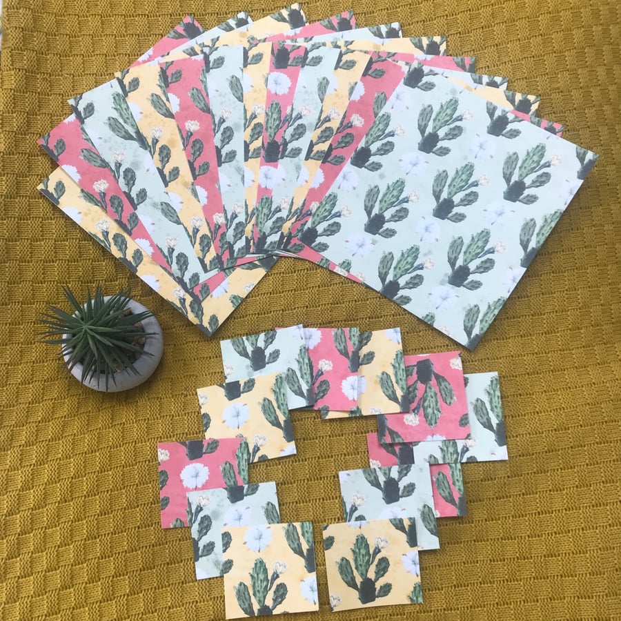Mexicana Cactus Note Cards Set -12 x large at 20cm square and 12 at  7cm square 