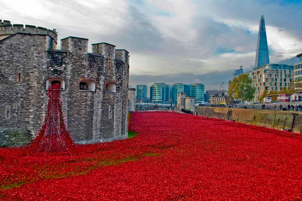 Red Poppies At The Tower Of London England Photograph Print