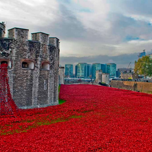 Red Poppies At The Tower Of London England Photograph Print