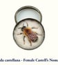 Postcard collection from the Fifty Bees exhibition - Image 7