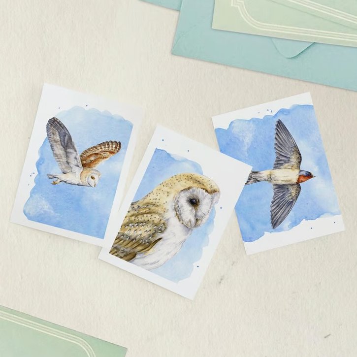 Bird greetings cards, 3 pack, A6 size blank notelets, barn owls and swallow