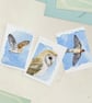 Bird greetings cards, 3 pack, A6 size blank notelets, barn owls and swallow - Image 1