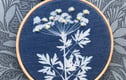 Cyanotype Gift Collection