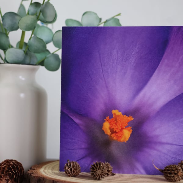 Crocus Heart - Blank Greetings Card