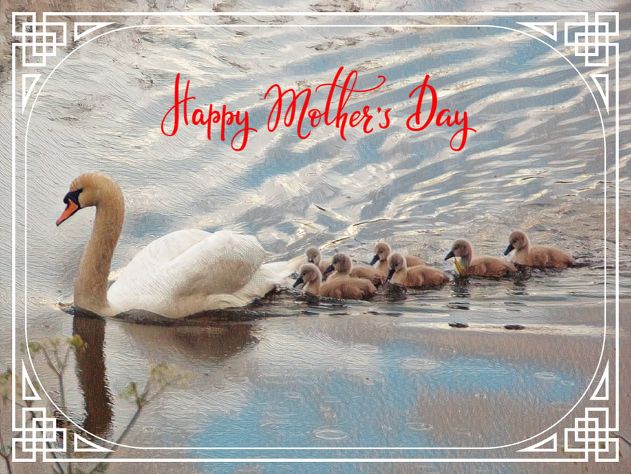 Happy Mother's Day Swan and Cygnets Card A5