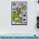 Phacelia flower print