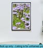 Phacelia flower print