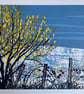 Winter Hazel original screen print - Super Seconds Festival - Image 2