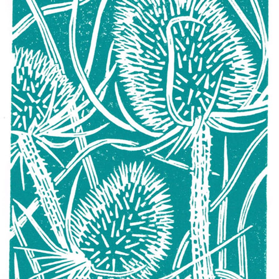 Wild Flower - Teasel in dark cyan Original Linocut Print