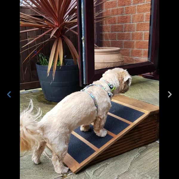 20cm H x 40W x 60cm L base Step or Patio Ramp