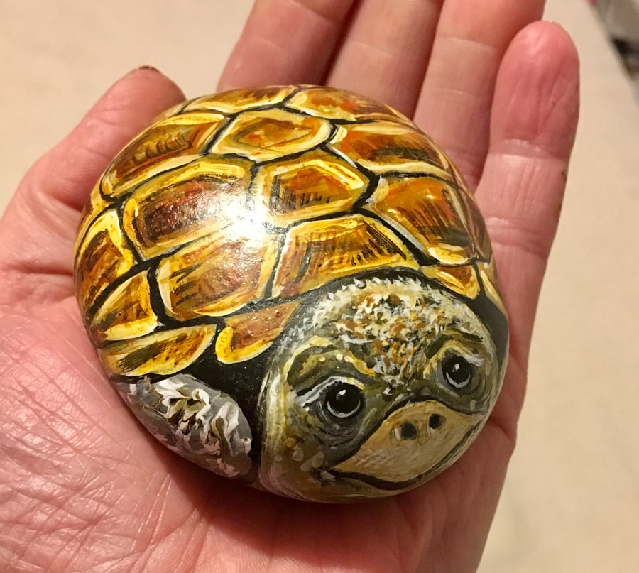 Tortoise hand painted pebble garden rock art pet stone portrait wildlife art 