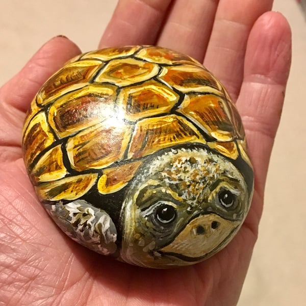 Tortoise hand painted pebble garden rock art pet stone portrait wildlife art 