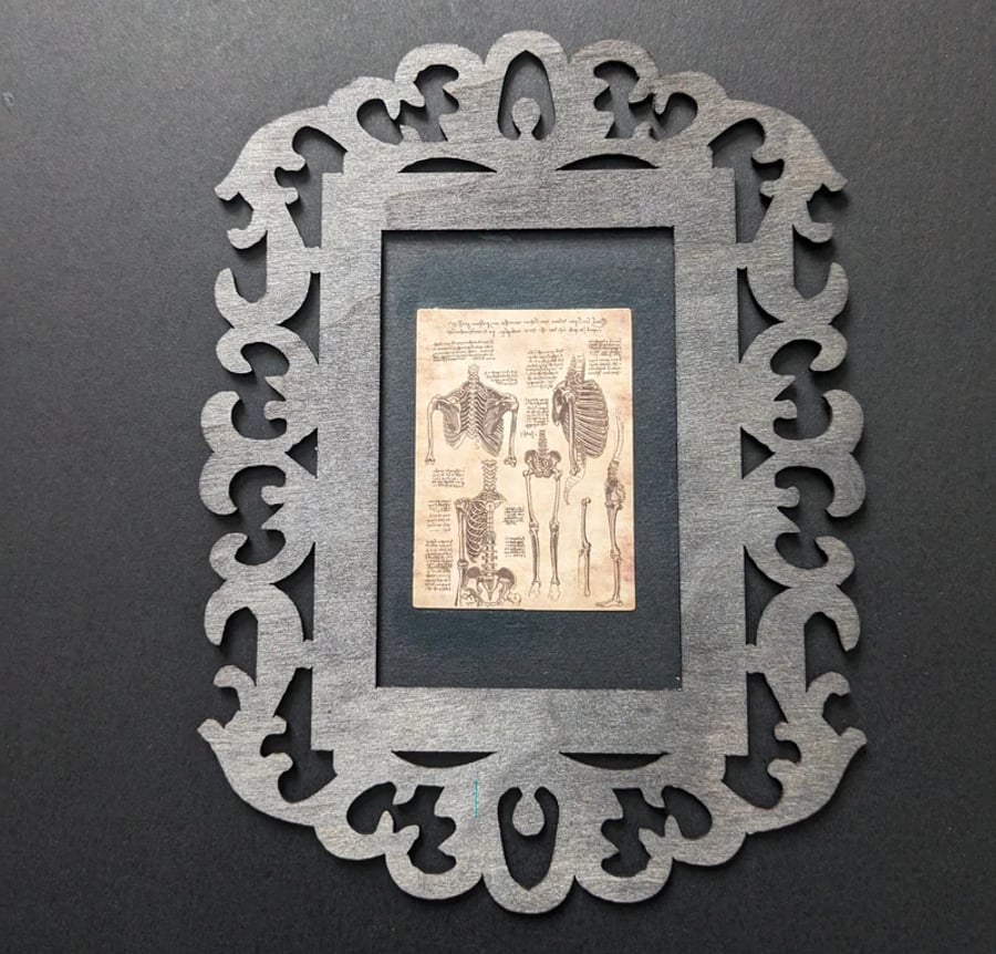Skeleton Anatomical Sketch Framed Print – Gothic Vintage Art – 16cm x 12cm