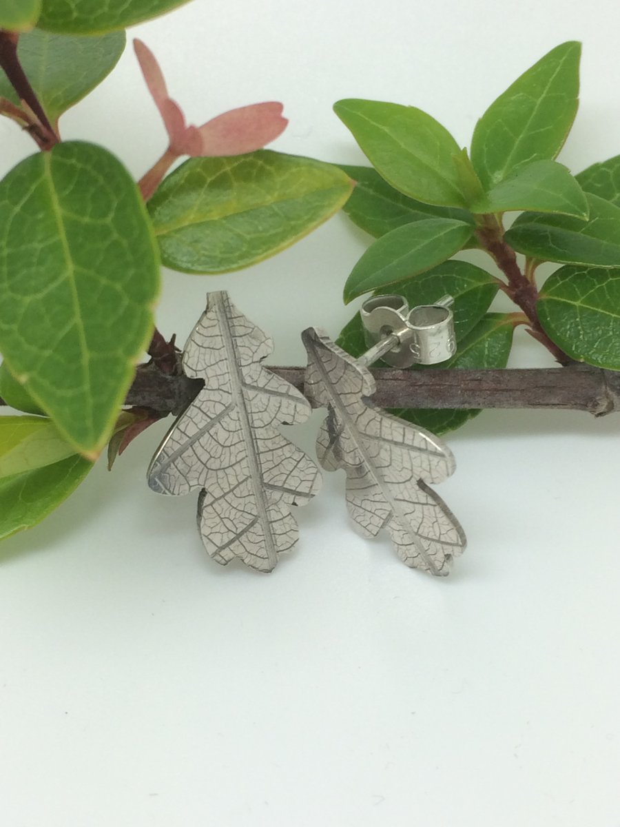 Little oak leaf earrings
