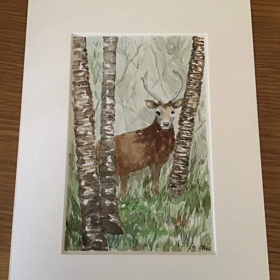 Stag in Scotland original  watercolour painting