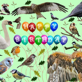 Bird Watchers Birthday Card A5 