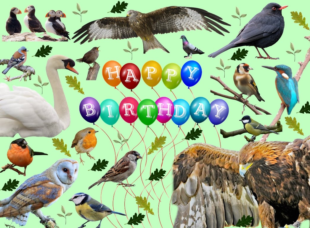 Bird Watchers Birthday Card A5 