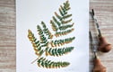 Prints