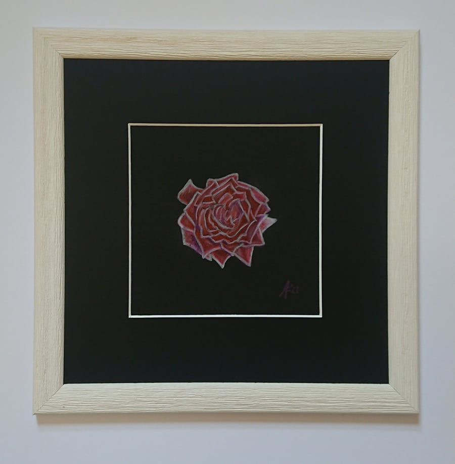 Rose on Black, original small red rose pencil drawing in a white frame