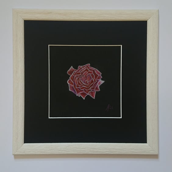 Rose on Black, original small red rose pencil drawing in a white frame