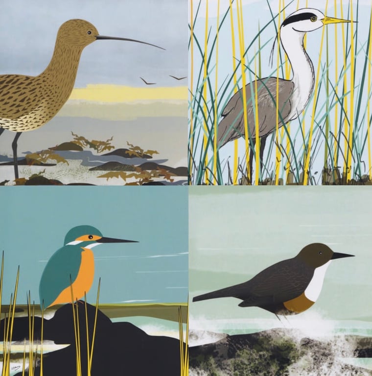 Greetings cards - birds of the river and estuary - pack of 4