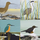 Greetings cards - birds of the river and estuary - pack of 4