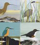 Greetings cards - birds of the river and estuary - pack of 4 - Image 6