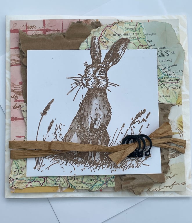 Hare on alert multimedia Hope your day is wonderful card