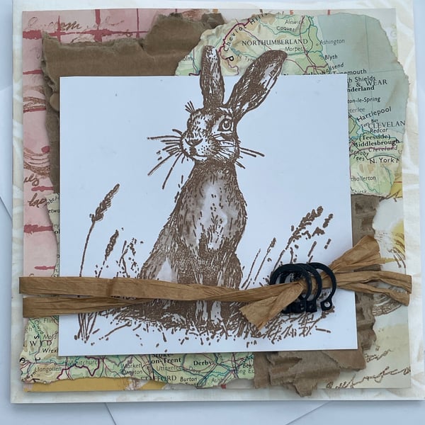 Hare on alert multimedia Hope your day is wonderful card