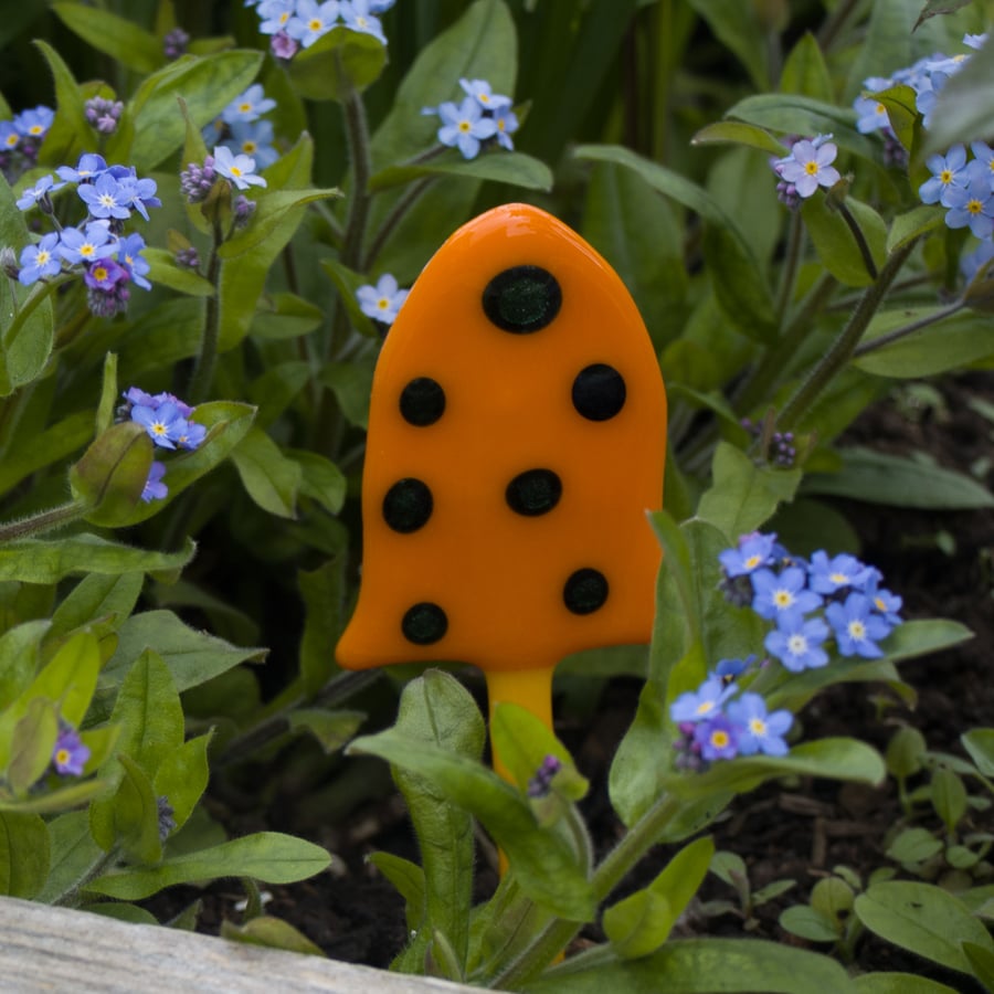 Pot Toadstool - Orange with Dark Green Spots - 6111