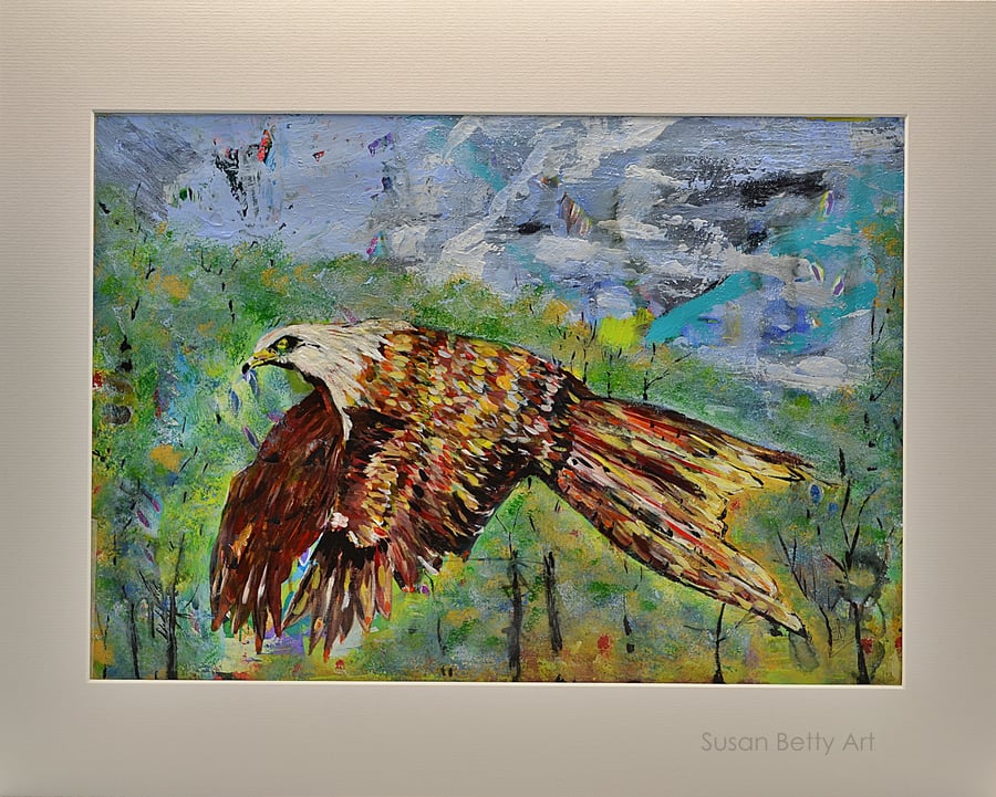 Mounted Painting of a Red Kite (20x16 inches)