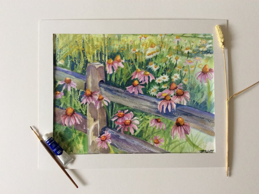 Watercolour painting of pink daisies in field with gate.