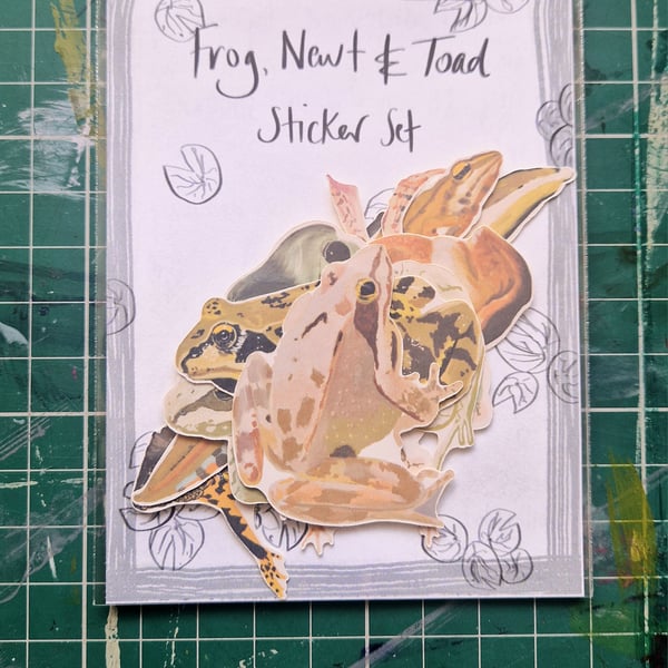 Frog, Newt & Toad Sticker Set