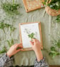 Heirloom Wooden Flower Press - Delicate Daisy - Large Botanical Press - Image 5