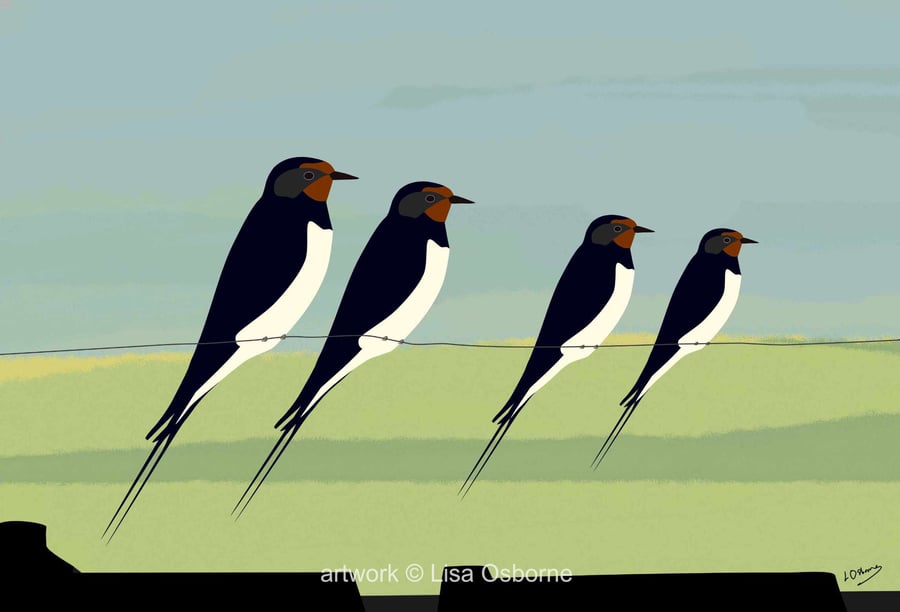 Swallows - bird art print - British birds