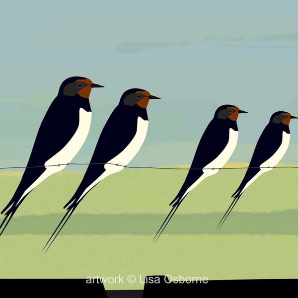 Swallows - bird art print - British birds