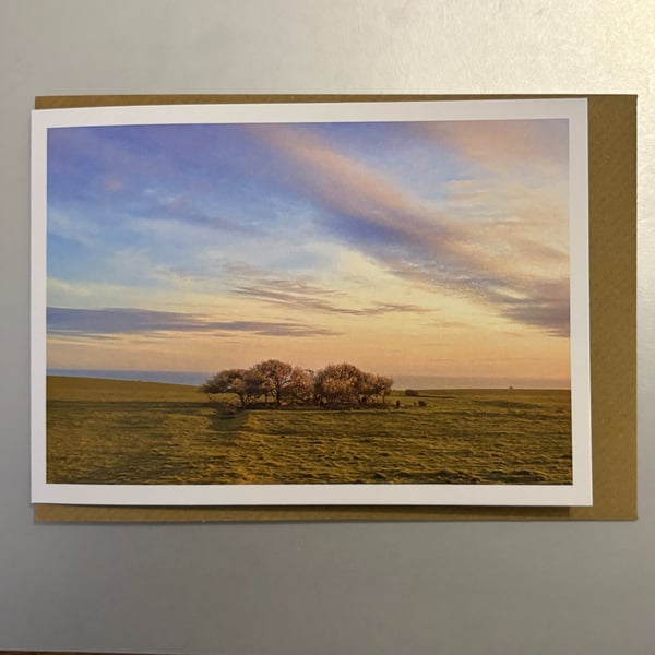 Roots of Solitute A5 Greeting Card 