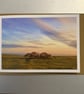 Roots of Solitute A5 Greeting Card 