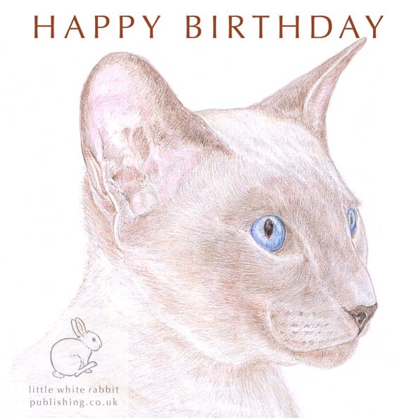 Kim the Siamese Cat - Birthday Card