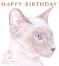 Kim the Siamese Cat - Birthday Card - Image 1