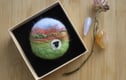 Brooches