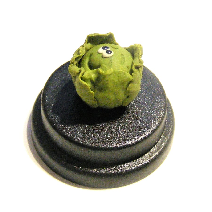 Pet Brussel Sprout, Brussell sprout, Brusel Sprout, Sprout