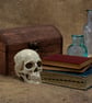 Gothic still life art inspired by Yorick - Image 2