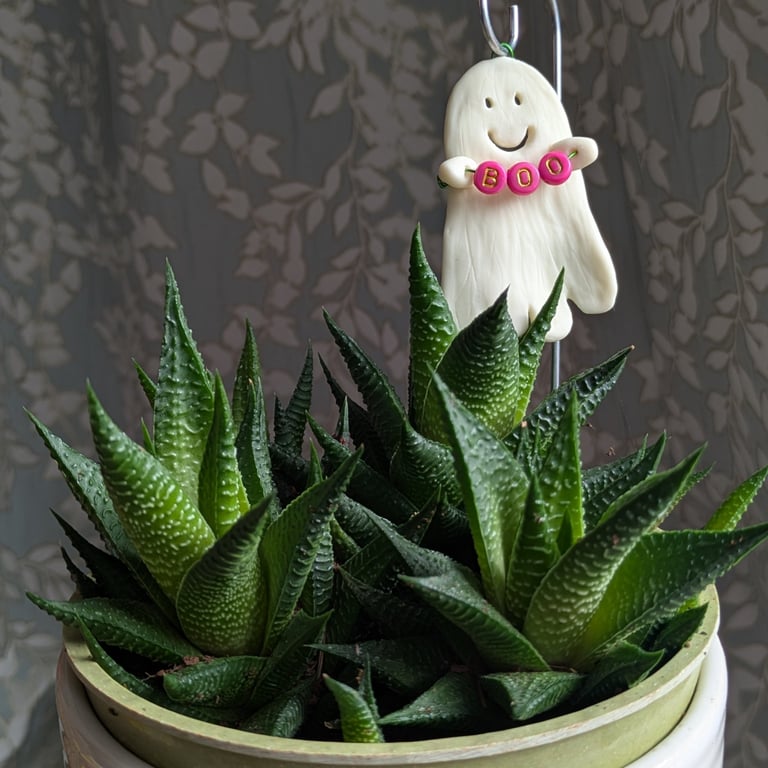 Iva - Glow in the dark ghost plant stake