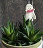 Iva - Glow in the dark ghost plant stake