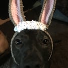Easter Bunnie snood for dogs
